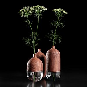 3D Heracleum in wooden vase model