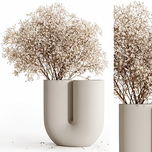 Dry flowers 9 3D