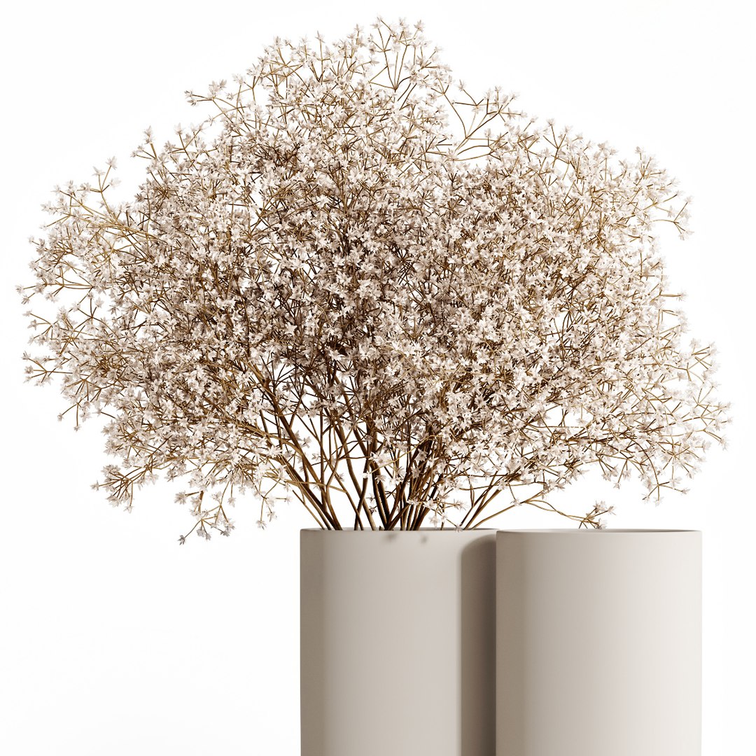 Dry flowers 9 3D https://p.turbosquid.com/ts-thumb/pE/z1daFL/bz/big_3/jpg/1638102956/1920x1080/fit_q87/4bbab49a51108fa1112f12bcd81a01cbdc687b9b/big_3.jpg