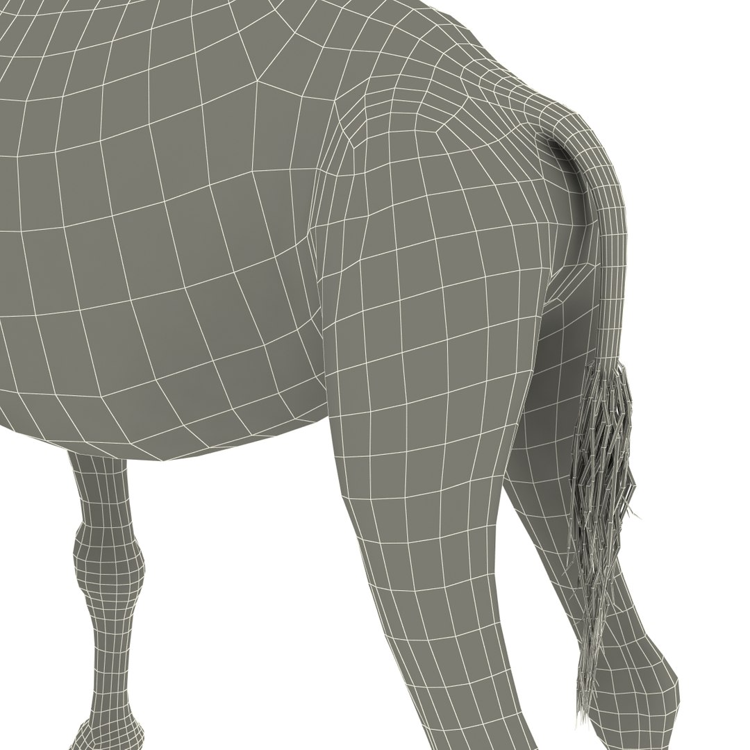 camel modelled 3d model https://p.turbosquid.com/ts-thumb/pF/RsBzNg/z563mZKT/camel_22/jpg/1291673303/1920x1080/fit_q87/7f0a9b93a69bfa01696ab501704f5597039b499d/camel_22.jpg