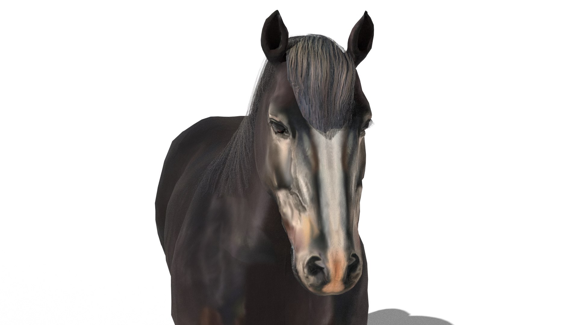 Animated Black Horse 3D model https://p.turbosquid.com/ts-thumb/pF/TB1U3M/3r/13/png/1742596980/1920x1080/fit_q87/3a580004e0250c53c316e687b1c92d304f4286b9/13.jpg