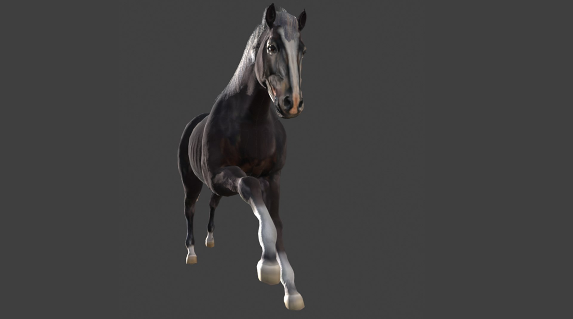 Animated Black Horse 3D model https://p.turbosquid.com/ts-thumb/pF/TB1U3M/EJ/27/png/1742596995/1920x1080/fit_q87/02f5b8164fa6b62dfee0125201b90b39373d3a5b/27.jpg