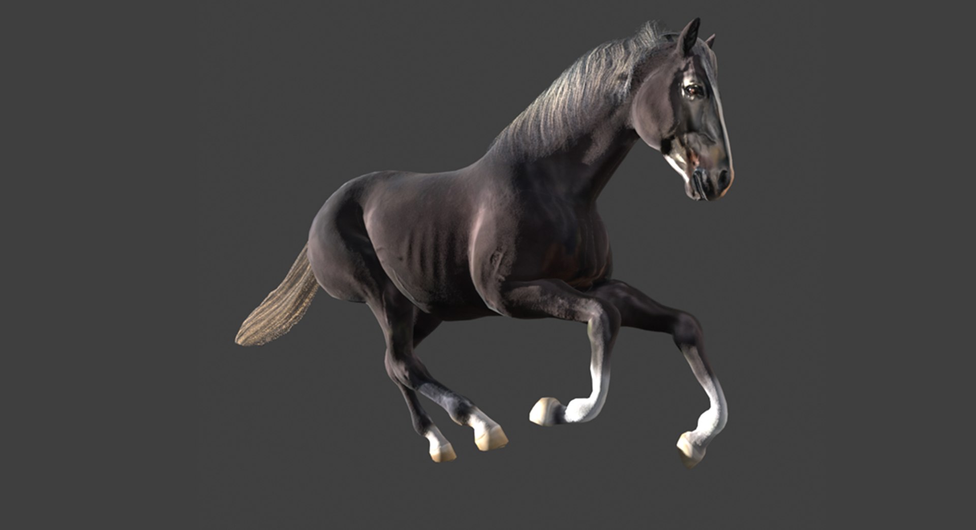 Animated Black Horse 3D model https://p.turbosquid.com/ts-thumb/pF/TB1U3M/IP/26/png/1742596994/1920x1080/fit_q87/4b999e5d72639779ecc16c199126464cfb3a7644/26.jpg