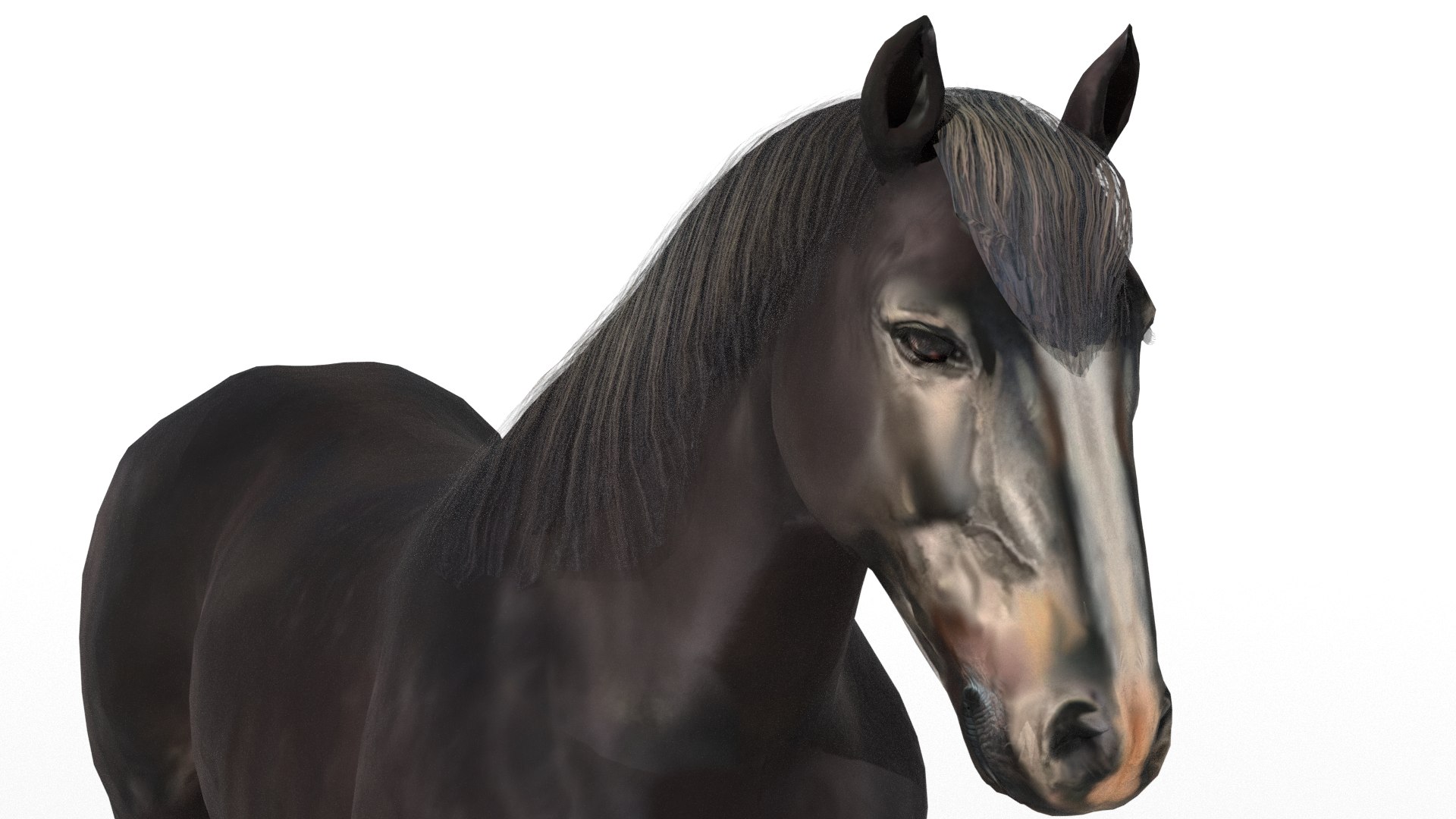 Animated Black Horse 3D model https://p.turbosquid.com/ts-thumb/pF/TB1U3M/MN/14/png/1742596976/1920x1080/fit_q87/98eeee0be1fdba26a0f5c84d72cd4d57783e6867/14.jpg