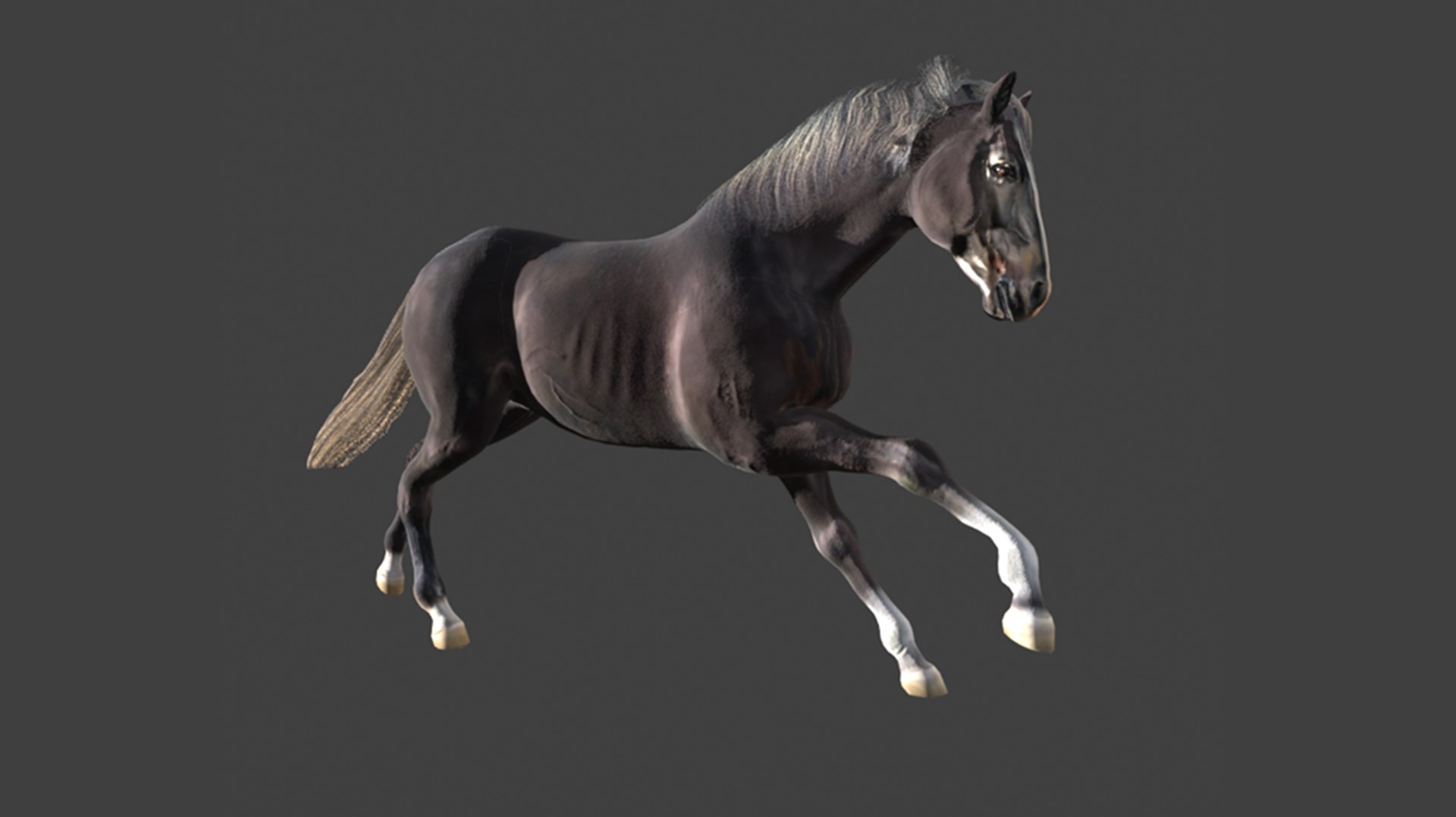 Animated Black Horse 3D model https://p.turbosquid.com/ts-thumb/pF/TB1U3M/VT/29/png/1742597000/1920x1080/fit_q87/7764d81cba1f575caee3347cca79b155c2ef998e/29.jpg