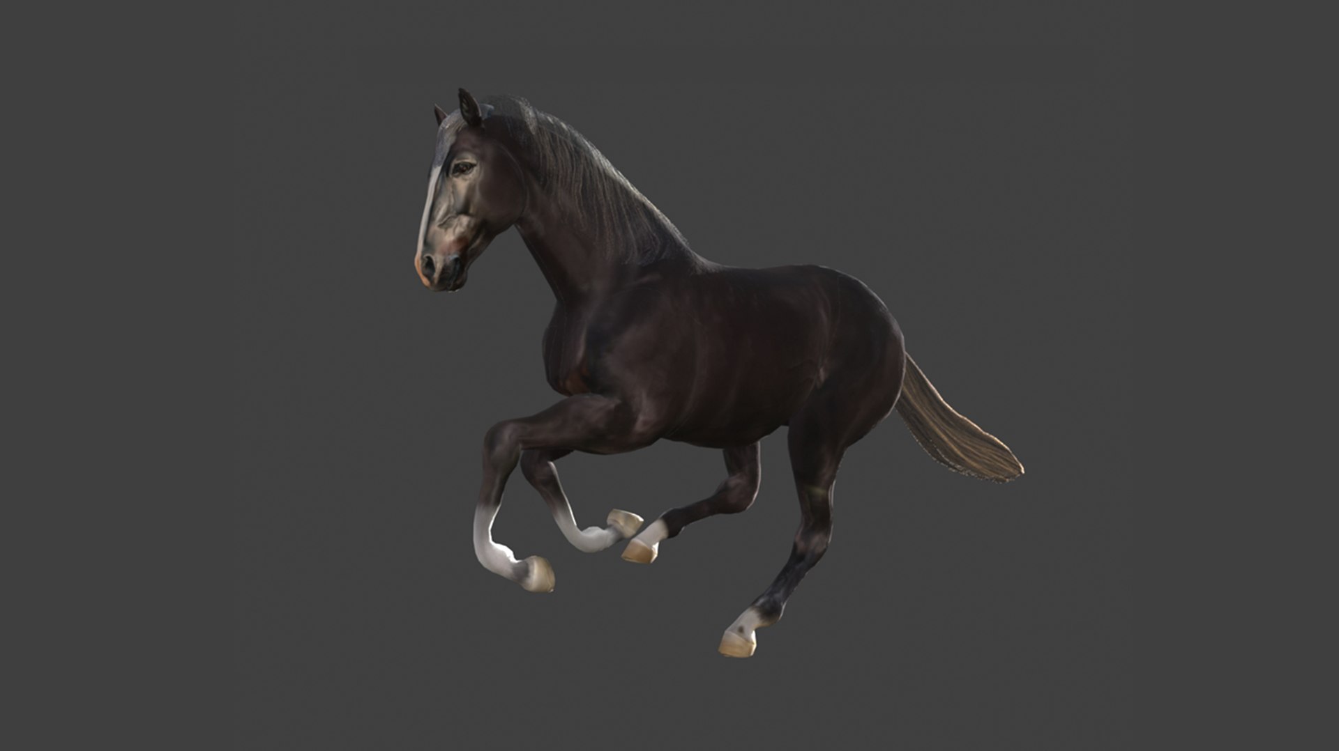 Animated Black Horse 3D model https://p.turbosquid.com/ts-thumb/pF/TB1U3M/bC/30/png/1742596999/1920x1080/fit_q87/9ecc113f6b70c7af5de37df4a121ce45b3e27a17/30.jpg