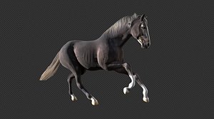 Animated Black Horse 3D model