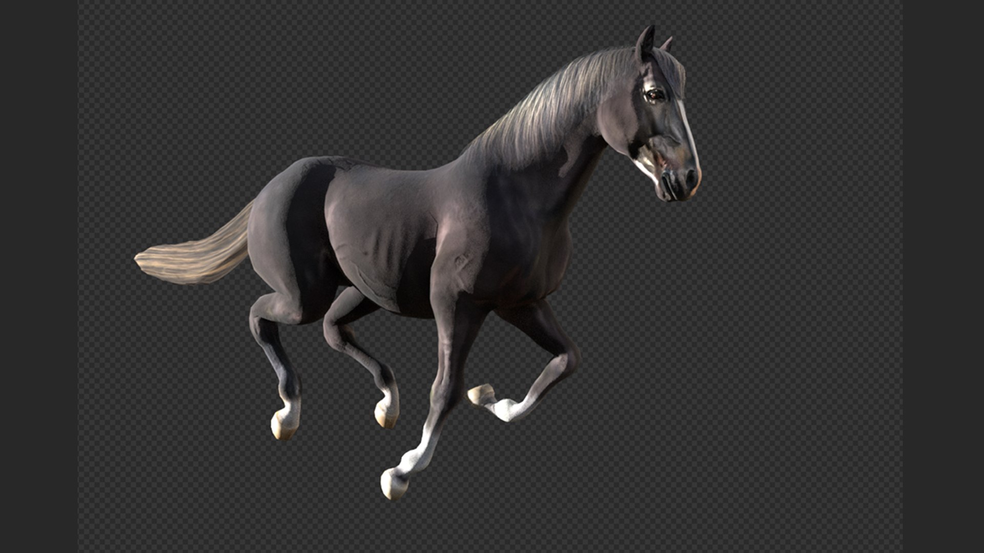 Animated Black Horse 3D model https://p.turbosquid.com/ts-thumb/pF/TB1U3M/gv/33/png/1742597010/1920x1080/fit_q87/4d5c52eb22e5f1b17f2d370e0efa1e3331367145/33.jpg