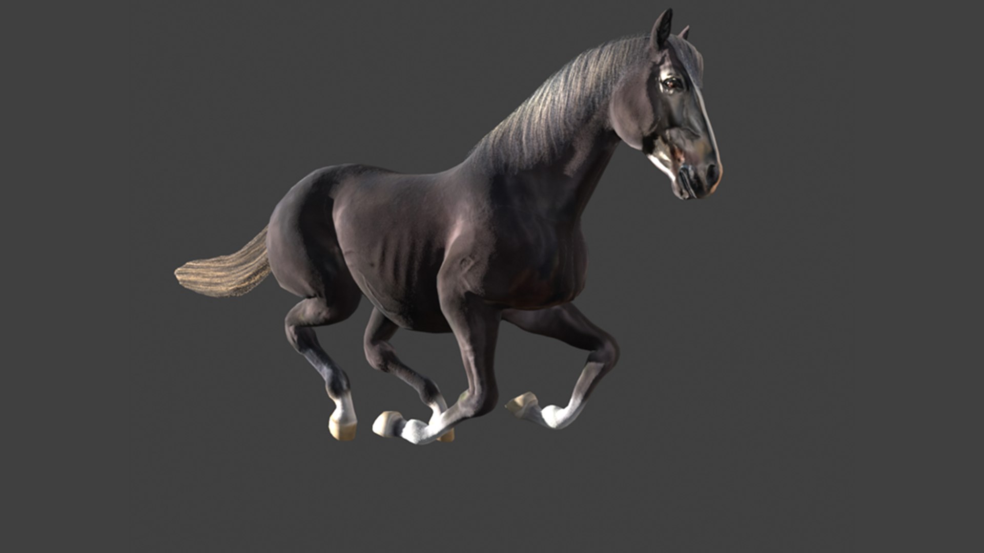 Animated Black Horse 3D model https://p.turbosquid.com/ts-thumb/pF/TB1U3M/jn/25/png/1742596990/1920x1080/fit_q87/10b41bad8e03d36f4b15cfe265da2396828e9aa0/25.jpg