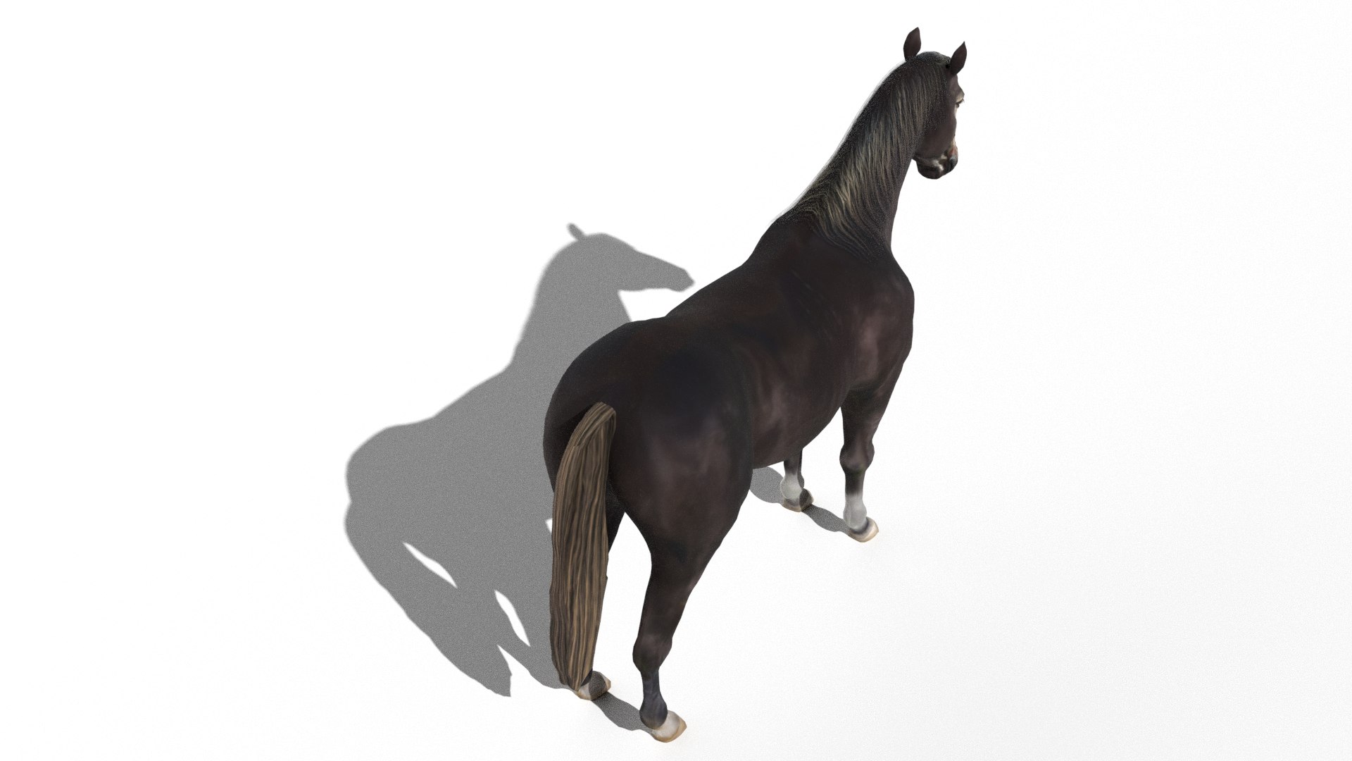 Animated Black Horse 3D model https://p.turbosquid.com/ts-thumb/pF/TB1U3M/rW/11/png/1742596961/1920x1080/fit_q87/009d165bd30506d3a93294f09bd4048d06e9a4a9/11.jpg