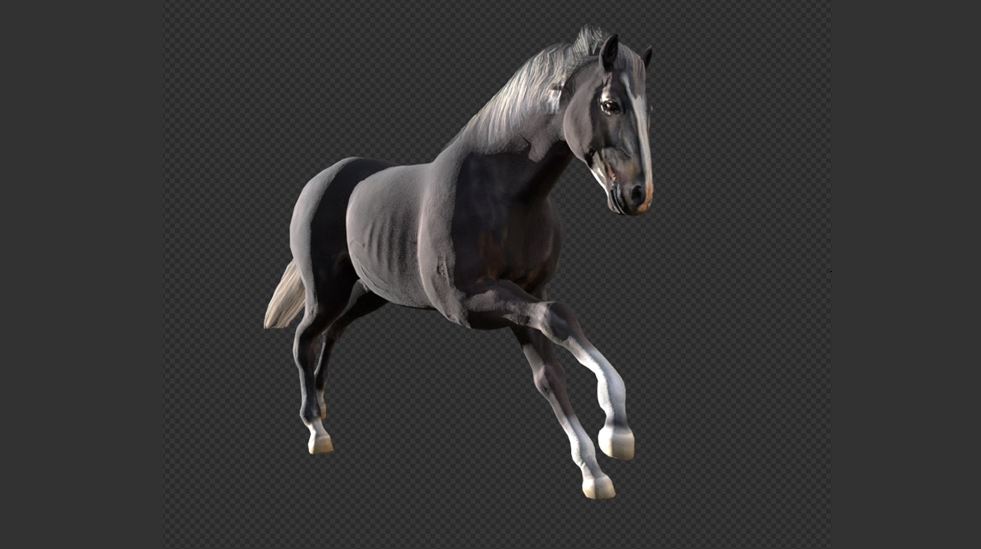 Animated Black Horse 3D model https://p.turbosquid.com/ts-thumb/pF/TB1U3M/ra/32/png/1742597010/1920x1080/fit_q87/742da3f511298cdabc96b6d1b290c2636dbf173a/32.jpg