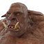 Cave Troll