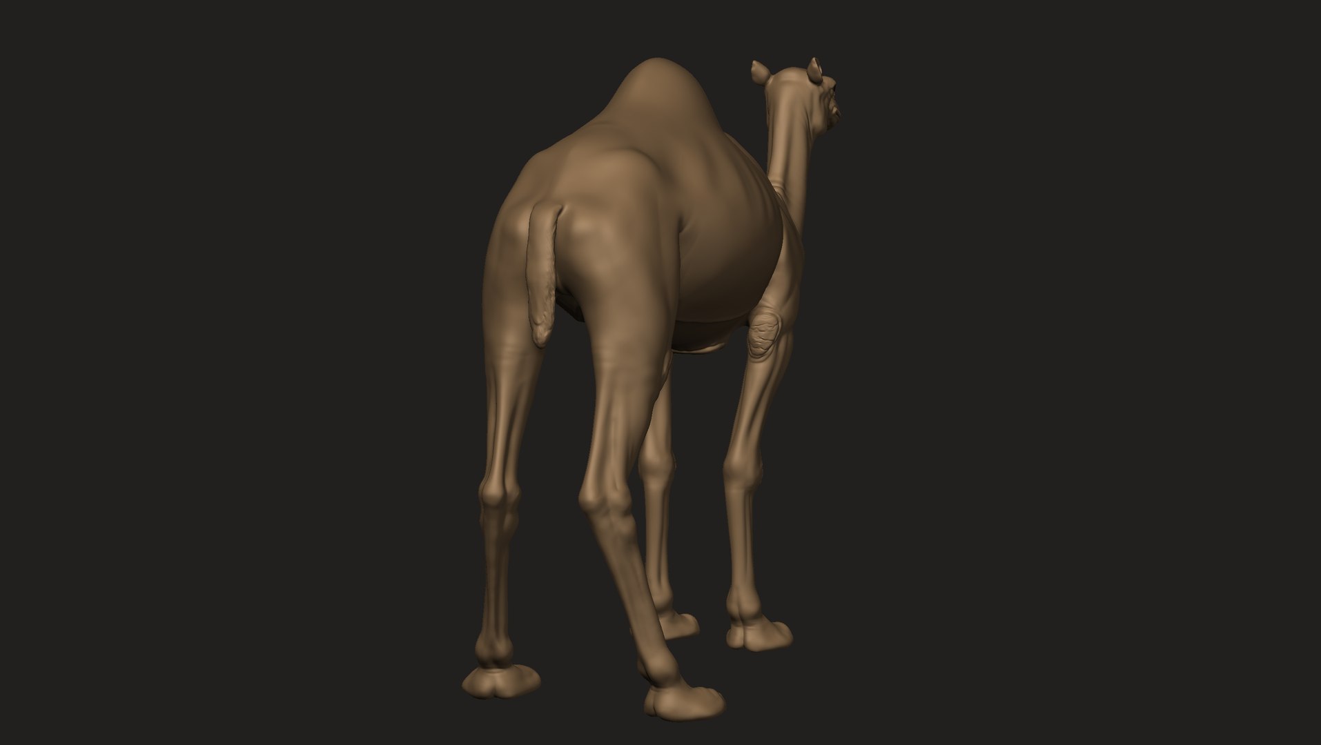 3D Camel model https://p.turbosquid.com/ts-thumb/pF/l5auoE/Dh/camel_08/jpg/1706033845/1920x1080/fit_q87/71af44a2d017f4937decf9faf0baa0b79633bc17/camel_08.jpg