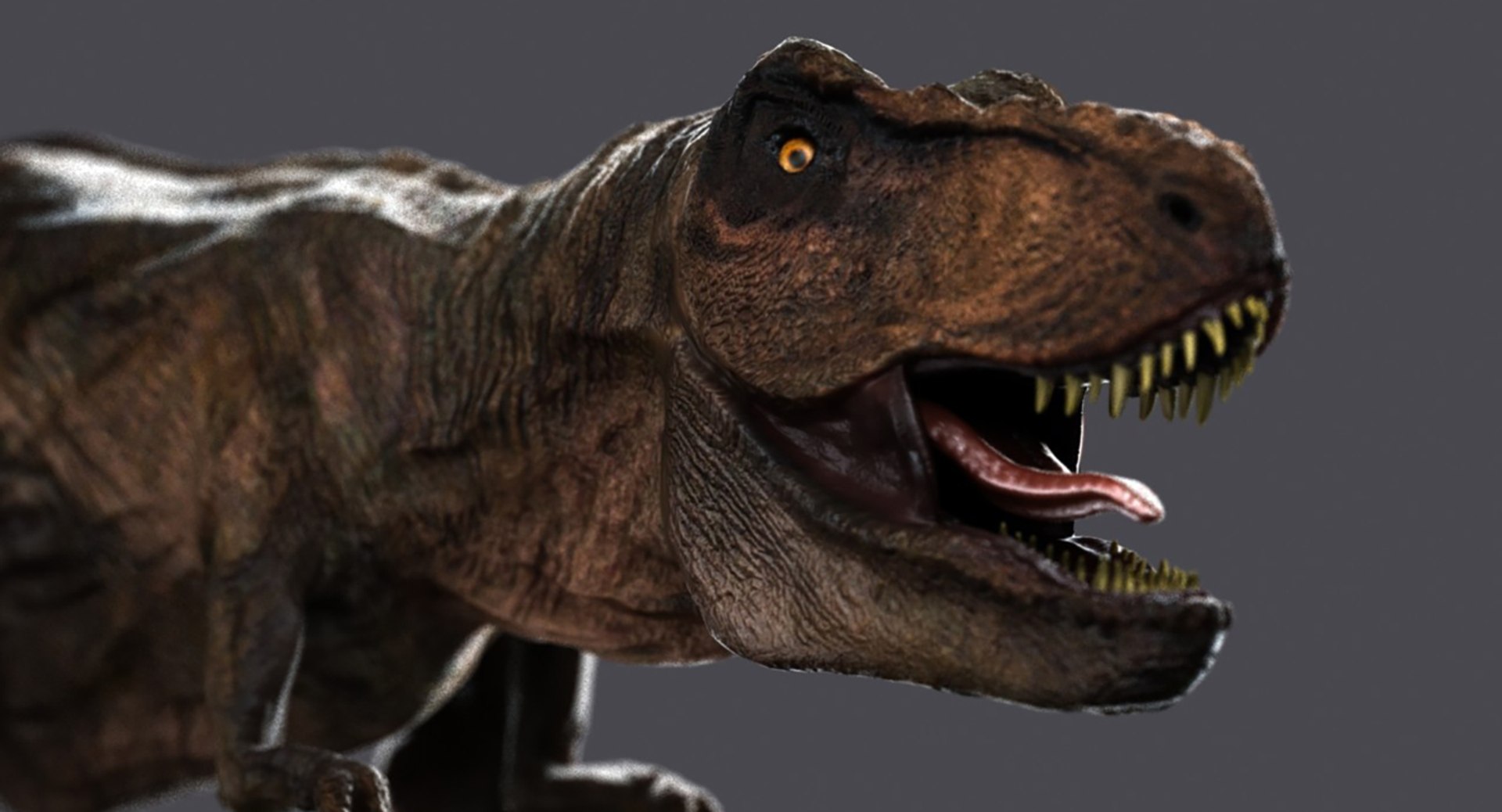 Tyrannosaurus Coelurosaurian Dinosaur Max