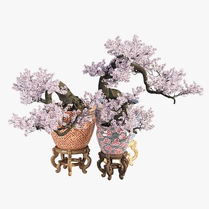 3D Porcelain plant