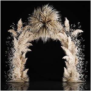 3D Wedding Arch Made Of Dried Flowers Pampas Grass
