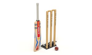3D Cricket Set