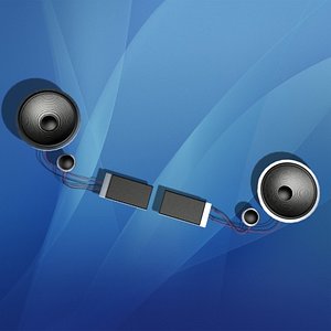 max car speaker
