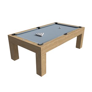 3D PAULA PARSONS POOL TABLE model
