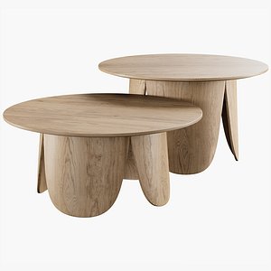 peyote coffee table 3D model