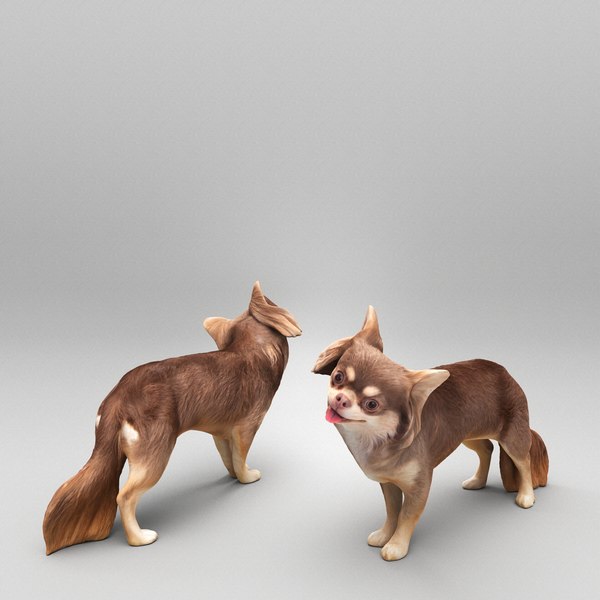 3D Funny dog 29 model