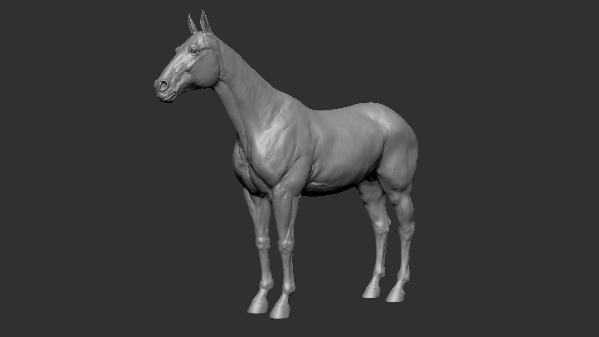 3D Horse SealBrown Saddled model https://p.turbosquid.com/ts-thumb/pG/Kd976H/Cb/zbrushhorse/png/1730209551/1920x1080/fit_q87/55a8c3dc86863629afc71d370b8532a6220442c0/zbrushhorse.jpg
