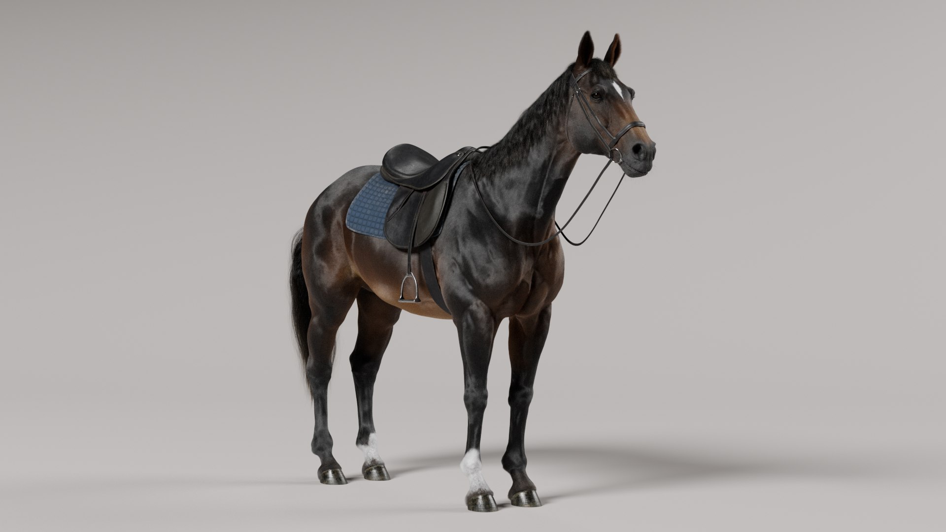 3D Horse SealBrown Saddled model https://p.turbosquid.com/ts-thumb/pG/Kd976H/KB/sealbrownposes_v001_0140/png/1730209975/1920x1080/fit_q87/91929a6393b04039091a6e69595e2f1d44eea16e/sealbrownposes_v001_0140.jpg