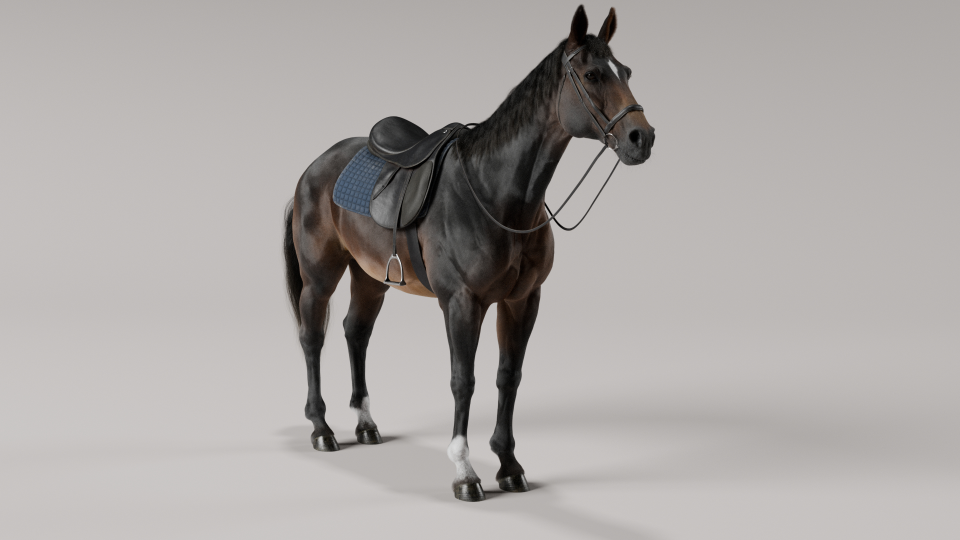 3D Horse SealBrown Saddled model https://p.turbosquid.com/ts-thumb/pG/Kd976H/e1/sealbrownsaddledlightturntable_v002/png/1730209471/1920x1080/turn_fit_q99/9f2ef5233f847a691de0d763a135b3ab2e45031f/sealbrownsaddledlightturntable_v002-1.jpg