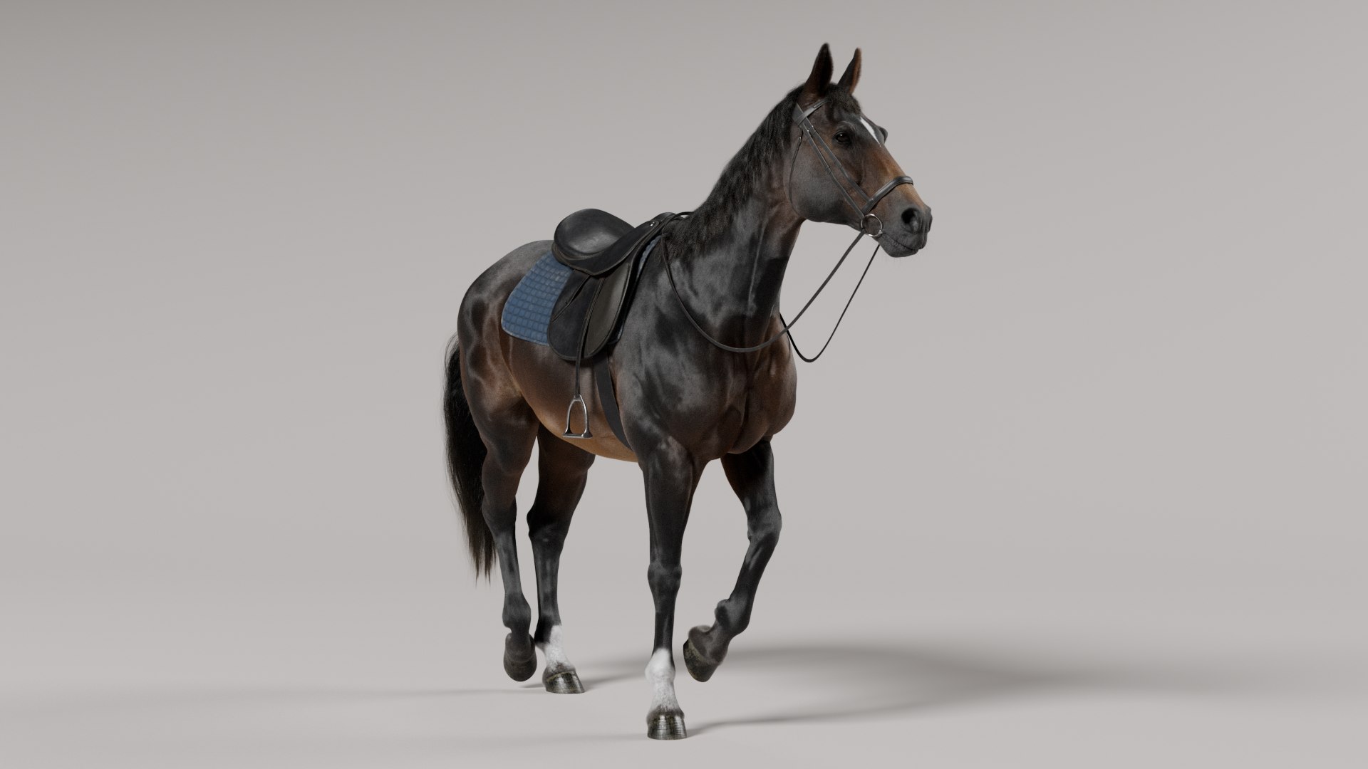 3D Horse SealBrown Saddled model https://p.turbosquid.com/ts-thumb/pG/Kd976H/i6/sealbrownsignature/png/1730208404/1920x1080/fit_q87/929f317e1f6d42fbe52dc4a29d1d0b7e49a5c5aa/sealbrownsignature.jpg