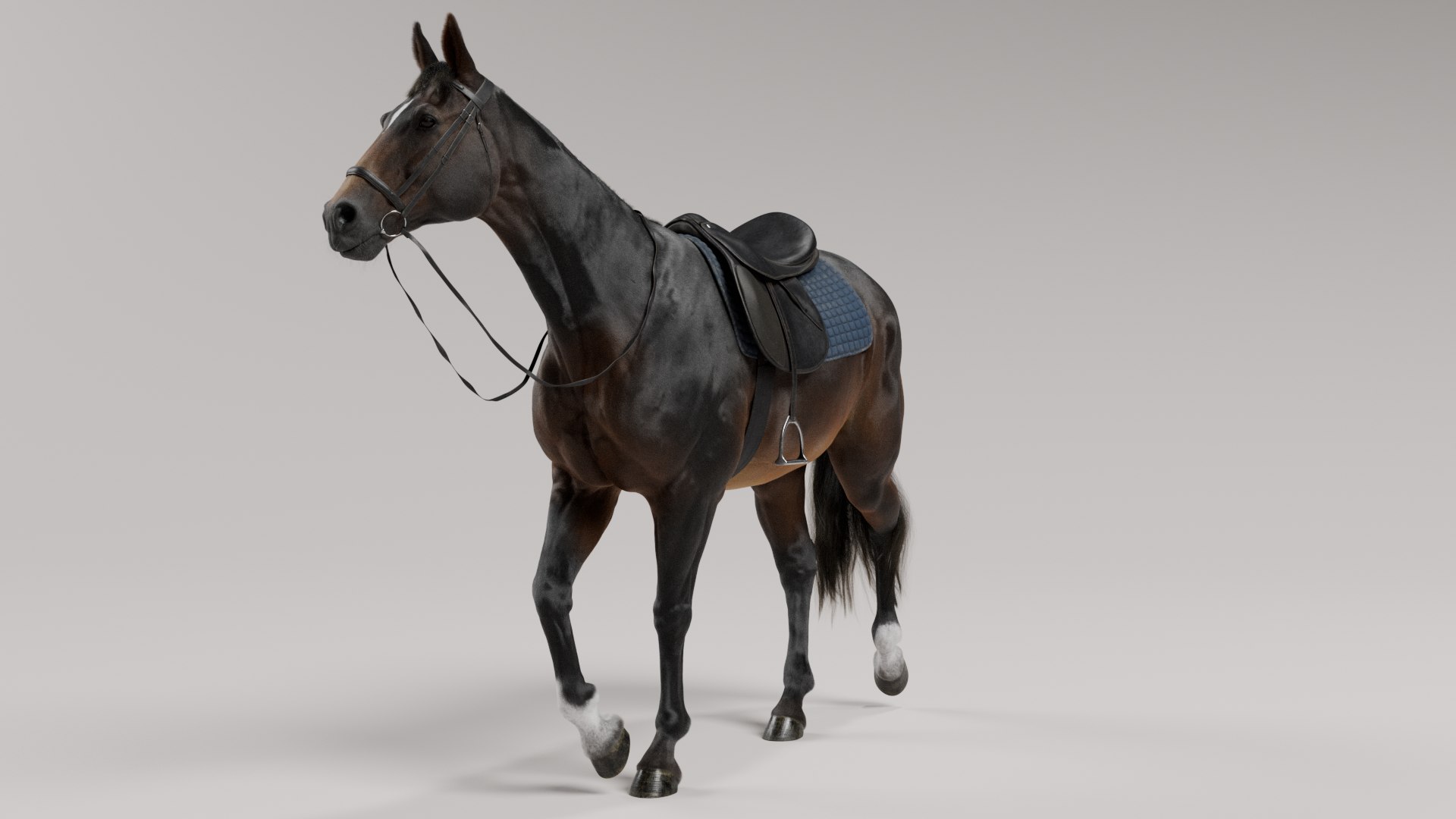 3D Horse SealBrown Saddled model https://p.turbosquid.com/ts-thumb/pG/Kd976H/yT/sealbrownposes_v001_0020/png/1730208932/1920x1080/fit_q87/0918777e148767c924717fed8015f86ec9fc28d4/sealbrownposes_v001_0020.jpg