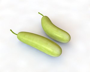Bottle Gourd