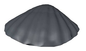 Low Poly Mollusk Shell