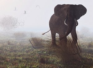 3D model elephant mom child