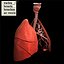 Lungs by 3DRivers