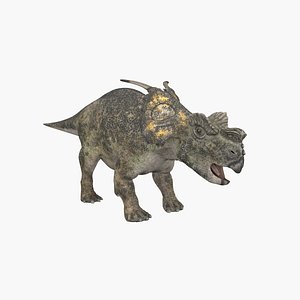 Achelousaurus 3D model