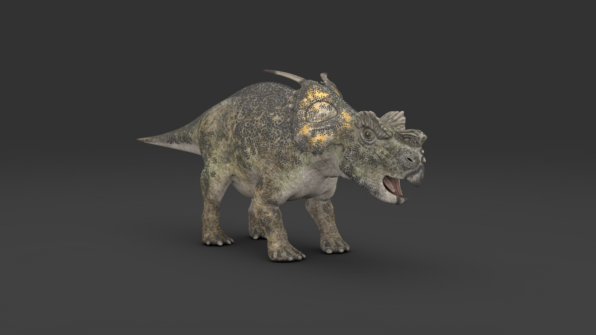 Achelousaurus 3D Model - TurboSquid 1844256