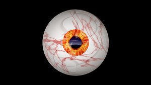 3D model eye eyeball
