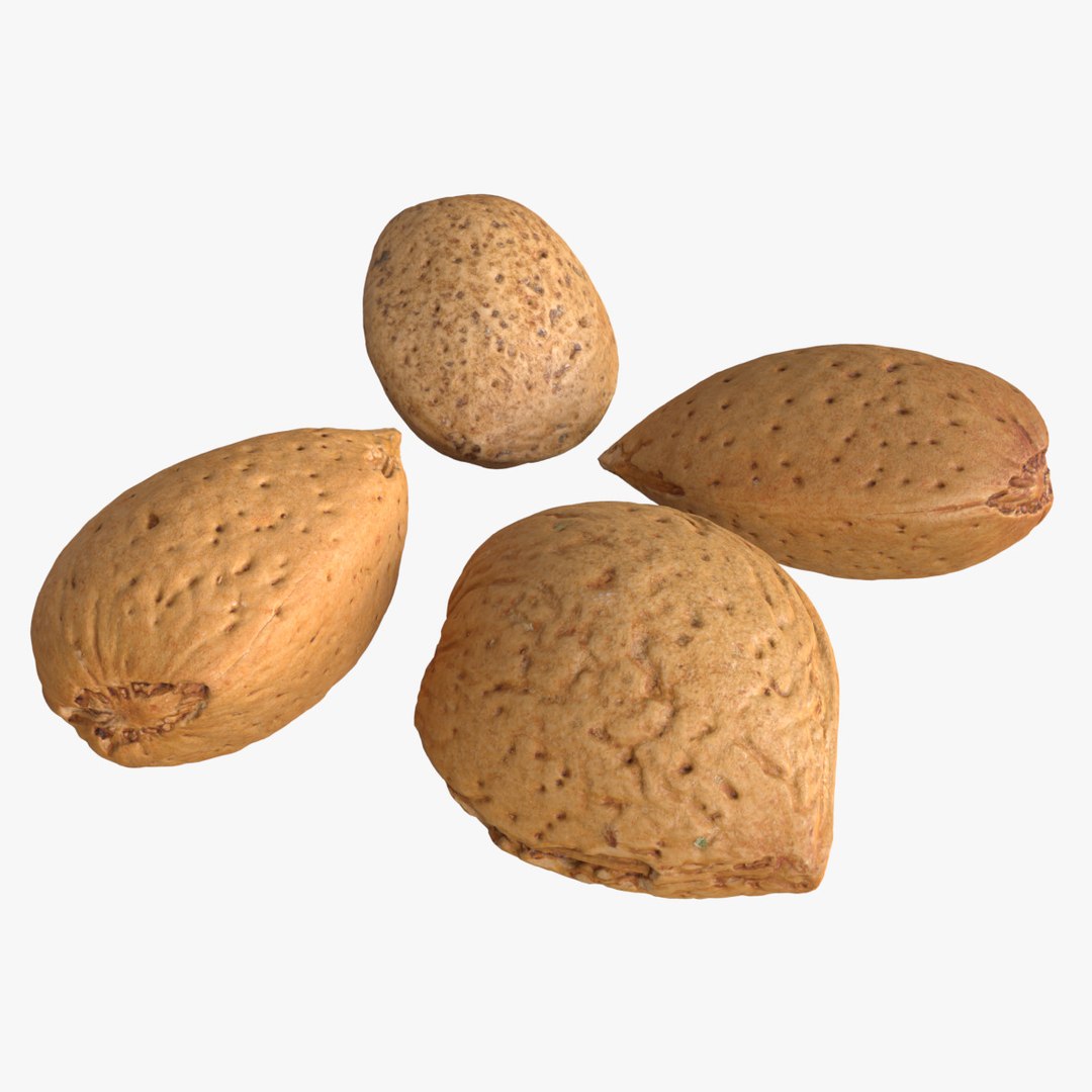 3D Almonds Unshelled TurboSquid 1993127