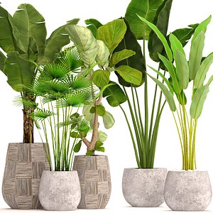 plants 3D model