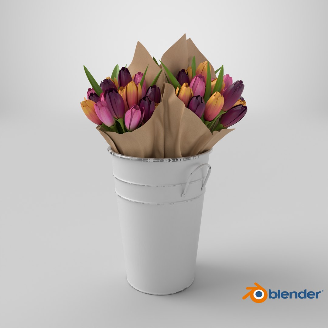 Flowers In Bucket model https://p.turbosquid.com/ts-thumb/pG/xFHP7a/0o/stemcell_blender_cycles_render/png/1768492216/1920x1080/fit_q87/eb1e6ad4b8edd10c5c4fbf7c921d2a5f2889709d/stemcell_blender_cycles_render.jpg
