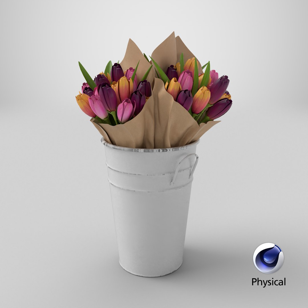 Flowers In Bucket model https://p.turbosquid.com/ts-thumb/pG/xFHP7a/4a/stemcell_cinema_4d_physical_render/png/1768492224/1920x1080/fit_q87/6b2a5be29d99ba60bf97f2207deb5e06575afdf9/stemcell_cinema_4d_physical_render.jpg