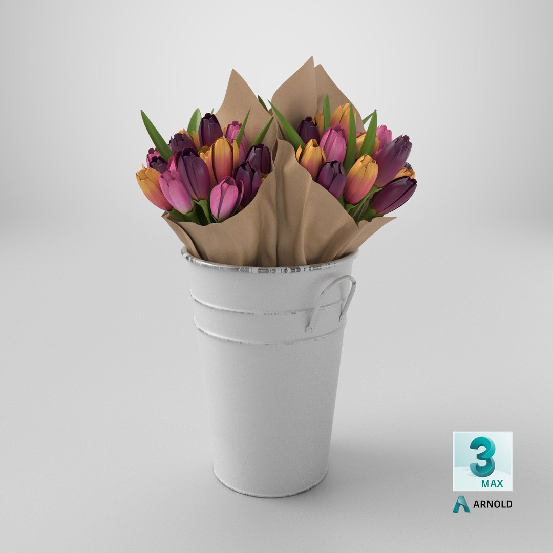 Flowers In Bucket model https://p.turbosquid.com/ts-thumb/pG/xFHP7a/OI/stemcell_max_arnold_render/png/1768492227/1920x1080/fit_q87/b746c831b596dcd6d9ca3ee29e96571cce0f0c3d/stemcell_max_arnold_render.jpg