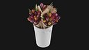 Flowers In Bucket