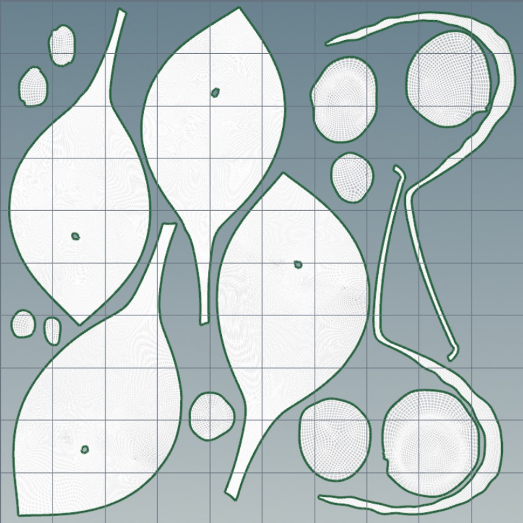 Bladder wall stones  bladder anatomy and lesions 3D https://p.turbosquid.com/ts-thumb/pH/1ZUOAc/7s/uv_1/png/1770370734/1920x1080/fit_q87/ba132ee80baa92ece156c11837d8a916ad76c7b3/uv_1.jpg