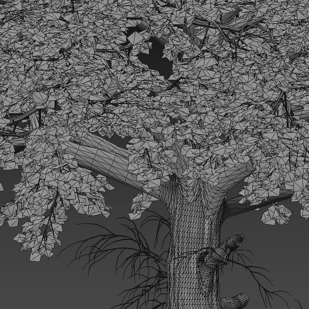 3D Norway Maple or Acer platanoides Tree - 1 Tree https://p.turbosquid.com/ts-thumb/pH/ChYcMX/9a/norwaymaple5t/jpg/1670579645/1920x1080/fit_q87/373d19930105f291119a44bb8a3fff6200f38d77/norwaymaple5t.jpg