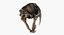 Saber Toothed Cat Skull