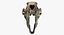 Saber Toothed Cat Skull