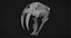 Saber Toothed Cat Skull