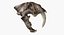 Saber Toothed Cat Skull