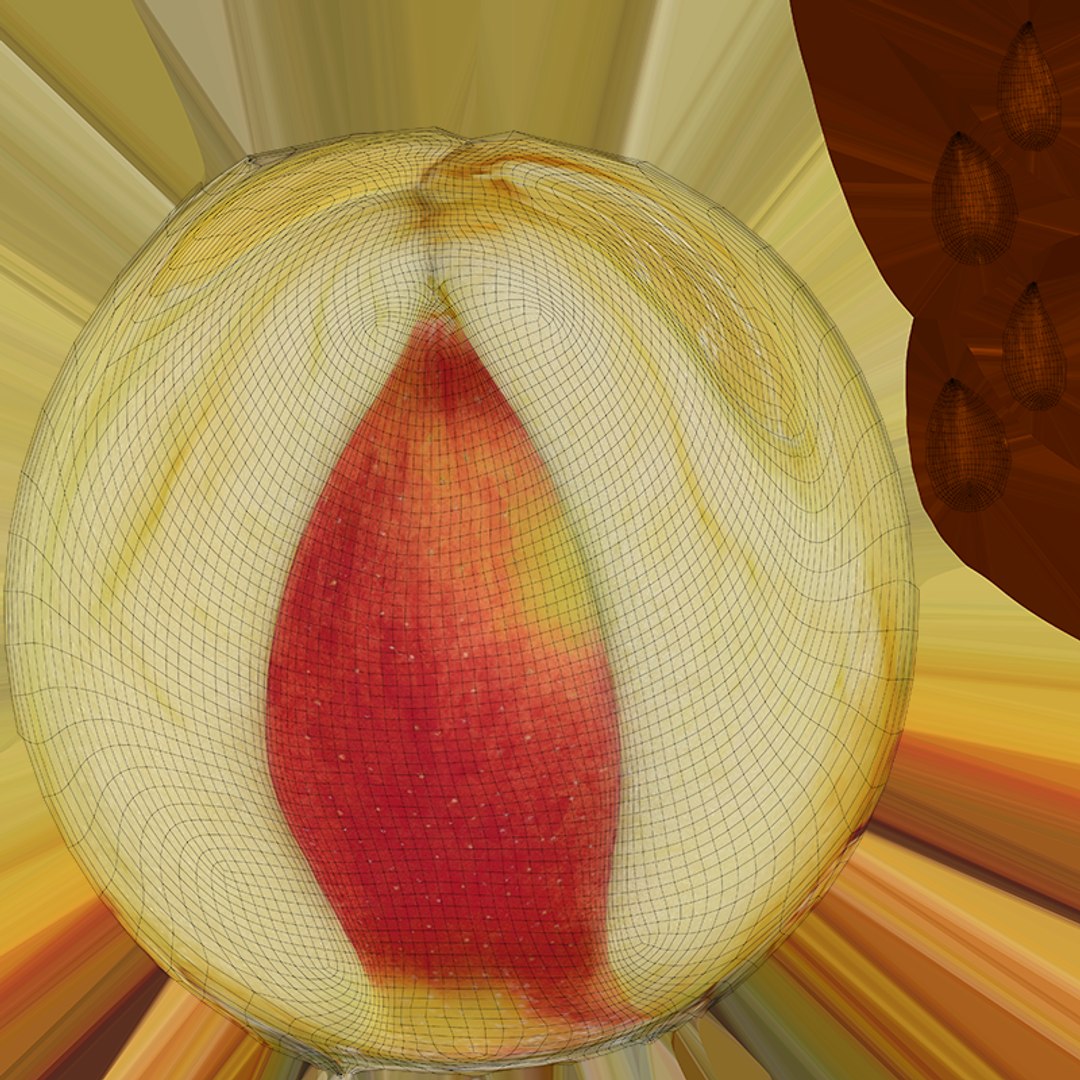 3D Ambrosia Apple 01 Collection 2 model https://p.turbosquid.com/ts-thumb/pH/NFXktw/zY/appleambr01cut_c0004/png/1764689420/1920x1080/fit_q87/b148fe29c662c3b043427fcfb474385c4c1d6989/appleambr01cut_c0004.jpg